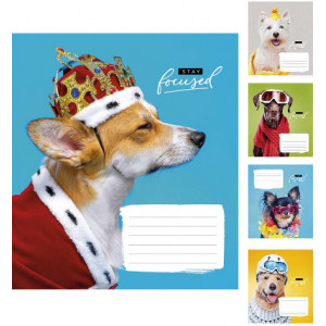 Зошит шкільний Школярик Star А5 у клітинку 12 аркушів