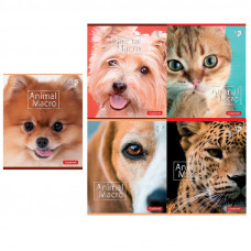 Зошит шкільний Yes Преміум А5 у лінію 12 аркушів