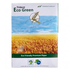 Бумага офисная Trident Eco Green А4 80 г/м2 500 листов