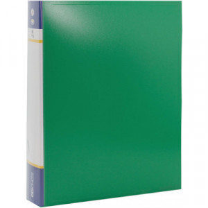 Папка з 80 файлами Economix А4 E30608