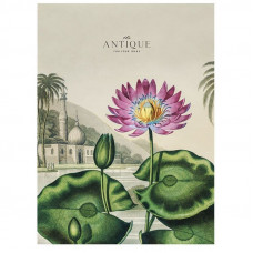 Блокнот Школярик А4 у клітинку 48 аркушів А4-048-5079К