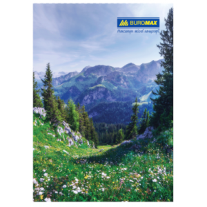 Книга Buromax А4 в клетку 96 листов BM.2430