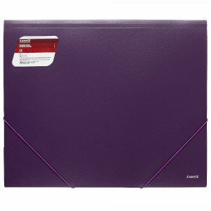 Папка на гумках Axent А3 1506