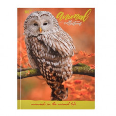 Блокнот Yes А5 в лінію 96 аркушів