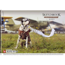 Альбом для малювання Школярик А4 120 г/м2 30 аркушів PB-SC-030-509