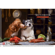 Альбом для малювання Школярик А4 120 г/м2 30 аркушів PB-SC-030-509