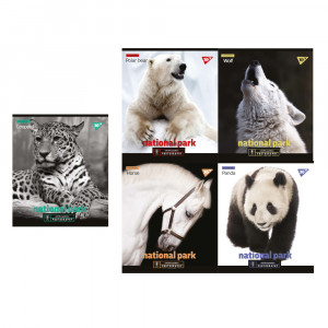 Зошит шкільний Yes Преміум А5 у клітинку 24 аркуша