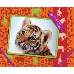 Папка на резинках Cool For School My funny B5 CF31642