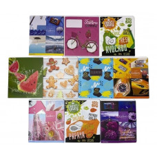 Зошит шкільний Тетрада Фемілі Лайн А5 у клітинку 48 аркушів Holographic