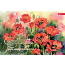 Альбом для малювання Фолдер А4 24 аркуша 00008