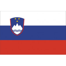 Прапор держави демонстраційний 100х150 мм