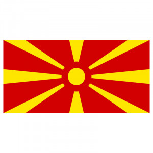 Прапор держави демонстраційний 100х150 мм