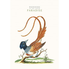 Блокнот Student А4 у клітинку 40 аркушів