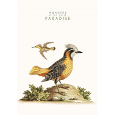 Блокнот Student А4 у клітинку 40 аркушів