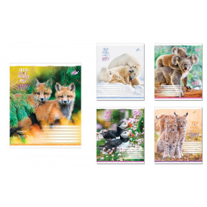 Тетрадь школьная Brisk А5 в линию 24 листа ТВ-109